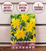 Нарцисс Рип Ван Винкль (6) - фото 58132