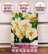 Нарцисс Сэр Уинстон Черчилль (2) - фото 58138