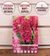 Гиацинт Ян Бос (2) - фото 58143