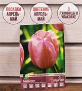 Тюльпан Дизайн Импрешн (3) - фото 58146