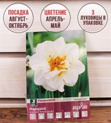 Нарцисс Флауэр Дрифт (3) - фото 58162