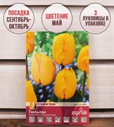 Тюльпан Кристал Стар (3) - фото 58170