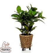 Подставка для цветов 12-001 напольная на колесах - фото 5818