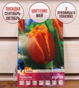 Тюльпан Фабио (3) - фото 58192