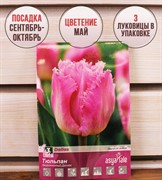 Тюльпан Даллас (3) - фото 58206