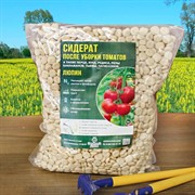 Сидерат Люпин однолетний после уборки томатов и перца 1кг - фото 58209