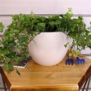 Горшок Орион 3,5л пудровый с вкладышем - фото 58275