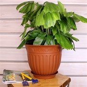 Горшок Виноград 6л терракот с поддоном - фото 58283