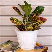 Горшок Виноград 2,25л белый с поддоном - фото 58297