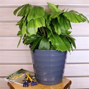 Горшок Лаура 9л антрацит - фото 58303