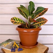 Горшок Фестона 4,6л терракот с поддоном - фото 58324