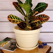 Горшок Толедо 4,5л кремовый - фото 58333