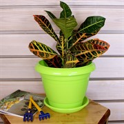 Горшок Фестона 4,6л зеленый с поддоном - фото 58337