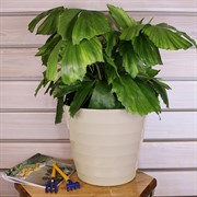 Горшок Лаура 9л ванильный - фото 58340