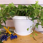 Горшок Фестона 1,6л белый с поддоном - фото 58342