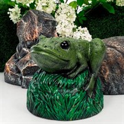 Крышка декоративная для маскировки садовых коммуникаций Лягушка на камне U09182 - фото 58409