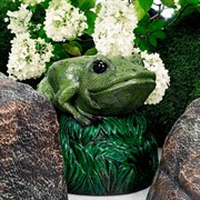 Крышка декоративная для маскировки садовых коммуникаций Лягушка на камне U09182 - фото 58410