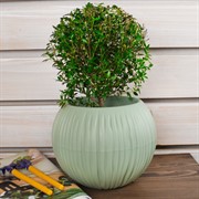 Кашпо Сфера 1,7л нефрит - фото 58657