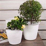 Кашпо ФУРУ 1л белый - фото 58678