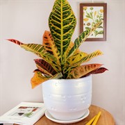 Горшок МАРГО цилиндр бел 18см 3,3л - фото 58745