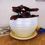 Горшок ОНИКС 1,1л цилиндр жемчужно-желтый 15см - фото 58750