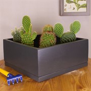 Горшок Графит 2л низкий 20х20/9см - фото 58751