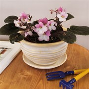 Горшок ФИАЛОЧНИЦА 0,5л Кантри бело-золотая 16см - фото 58753