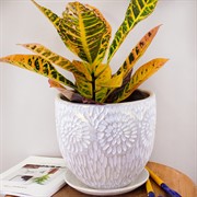 Горшок АСТРА 4л бутон белый-жемчужный 20см - фото 58755