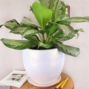 Горшок ТЕКСТУРА 7,5л бутон белый-жемчужный 24см - фото 58762