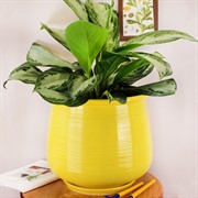 Кашпо Акварель №1 12,5л с подставкой - фото 58766