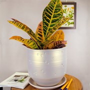 Горшок МАРГО цилиндр беж 21см 6л - фото 58780