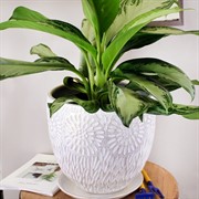 Горшок АСТРА 7,5л бутон белый-жемчужный 24см - фото 58781