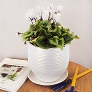 Горшок ОНИКС 2л бутон жемчуг 15см - фото 58793