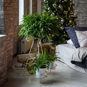 Подставка Лоза бело-золотая на 4 цветка высота 73 см 14-004-WG - фото 58947