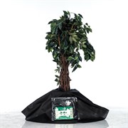 Приствольный круг Спанбонд черный 55 г/м.кв. диаметр 80 см H202-02, 5шт - фото 59022