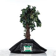 Приствольный круг Спанбонд черный 55 г/м.кв. диаметр 60 см H202-01,  10шт - фото 59062