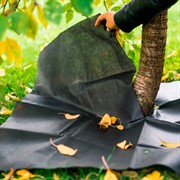 Приствольный квадрат 100 х 100 см Спанбонд черный 55 г/м.кв. H202-10, 2шт - фото 59092