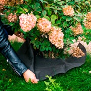 Приствольный круг Спанбонд черный 55 г/м.кв. диаметр 60 см H202-01,  10шт - фото 59102