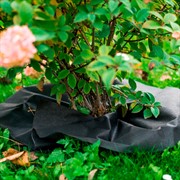 Приствольный круг Спанбонд черный 55 г/м.кв. диаметр 60 см H202-01,  10шт - фото 59105