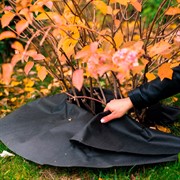 Приствольный круг Спанбонд черный 55 г/м.кв. Диаметр 100 см H202-03,  5шт - фото 59106