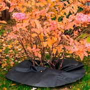 Приствольный круг Спанбонд черный 55 г/м.кв. Диаметр 100 см H202-03,  5шт - фото 59109