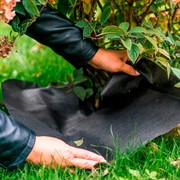 Приствольный круг Спанбонд черный 55 г/м.кв. диаметр 40 см H202-00, 10шт - фото 59111