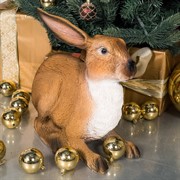 Фигура садовая Заяц ушастый полистоун коричневый F07429-Br - фото 59150