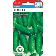 Огурец Темп F1 5шт - фото 59336