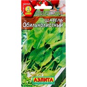 Щавель Обильнолистный - фото 59416