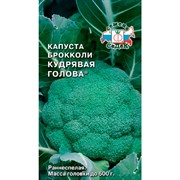 Капуста брокколи Кудрявая голова 0,5гр - фото 59429