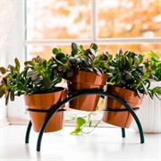 Подставка для цветов на подоконник Арка под 3 кашпо 41-001B - фото 59530