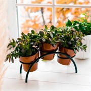 Подставка для цветов на подоконник Арка под 3 кашпо 41-001B - фото 59531