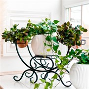 Подставка для трех цветов на подоконник металлическая 41-943B - фото 59582