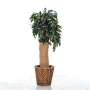 Лента для защиты стволов деревьев Джут 260 г/м.кв. 50*150 см H202-22 - фото 59585